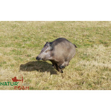 Natur Foam WILD BOAR - RUNNING